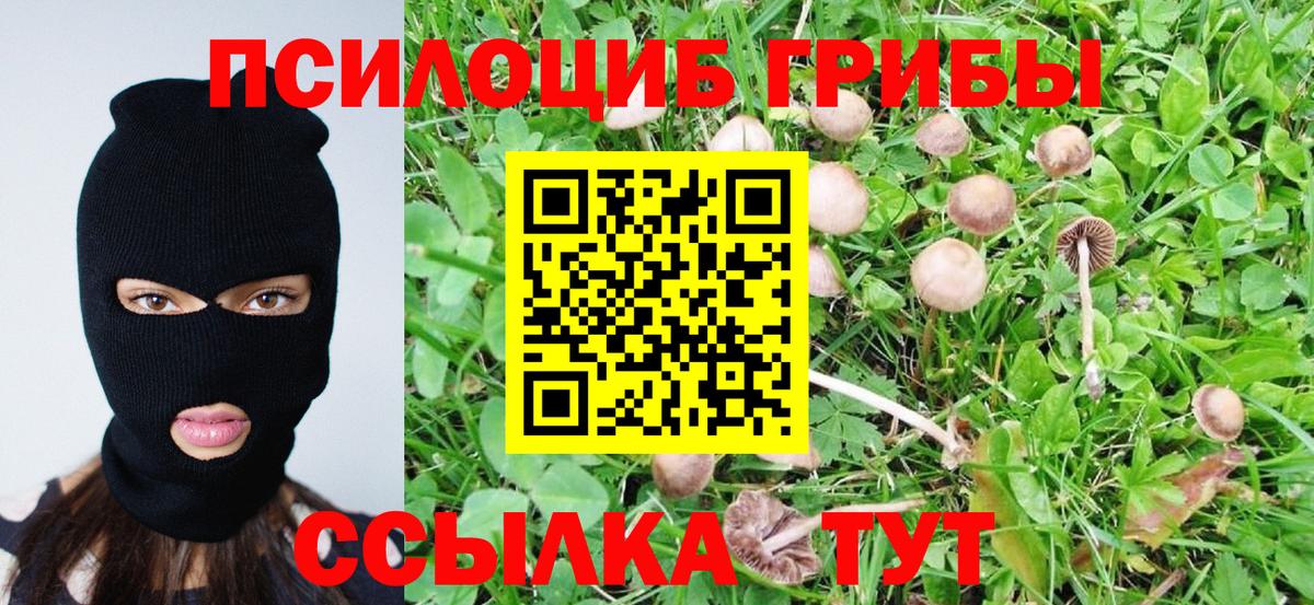 Мариинск  Галлюциногенные грибы мухоморы  Псилоцибиновые грибы MAGIC MUSHROOMS  Вход с VPN 